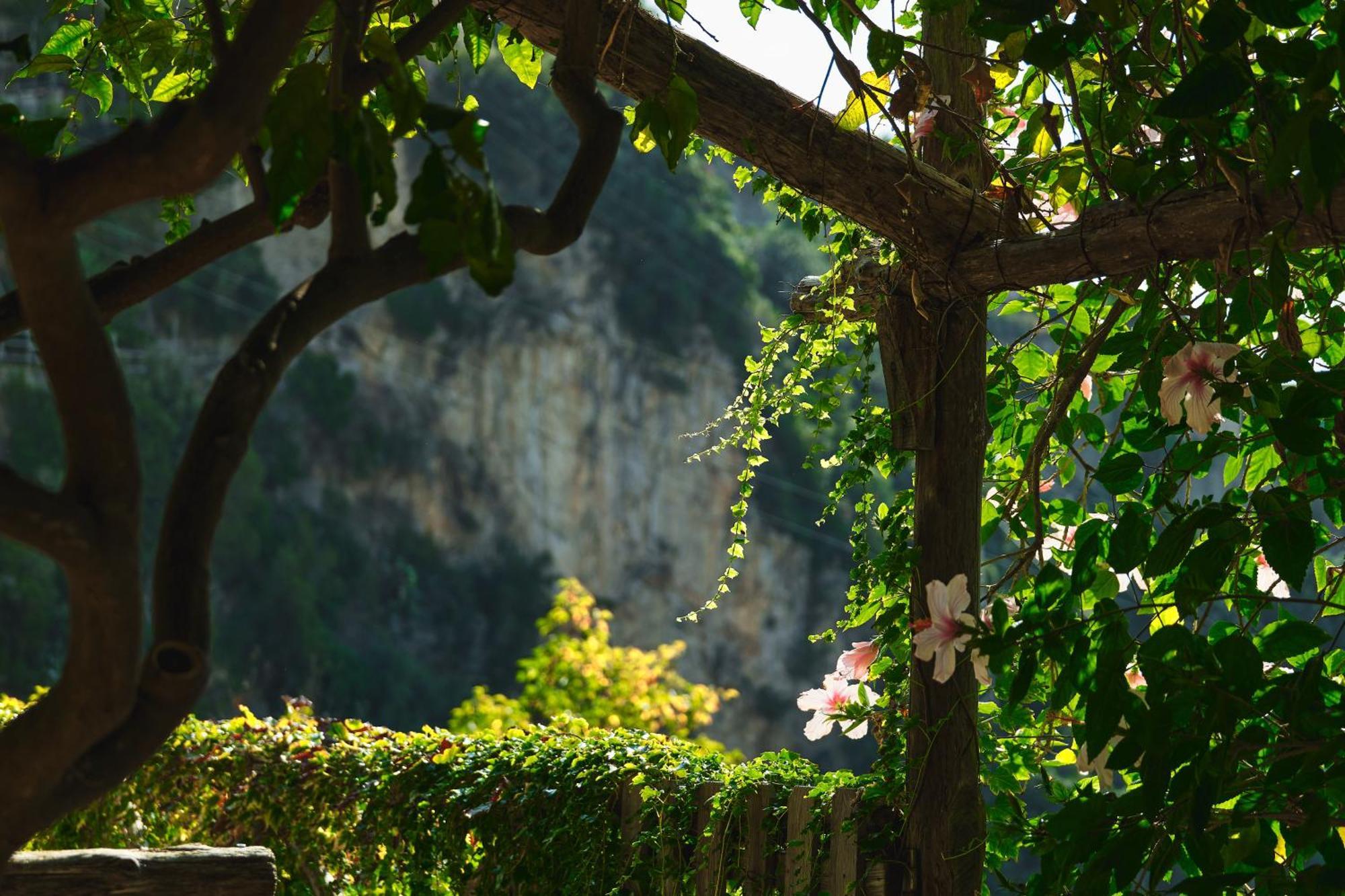 Botanico San Lazzaro Hotel Maiori